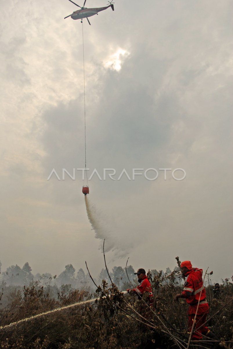 PEMADAMAN KEBAKARAN HUTAN RIAU | ANTARA Foto