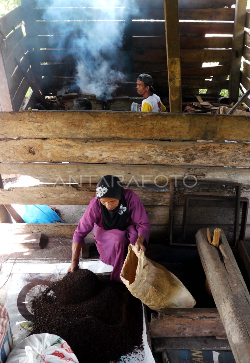 Pengolahan Kopi Tradisional Antara Foto 4634