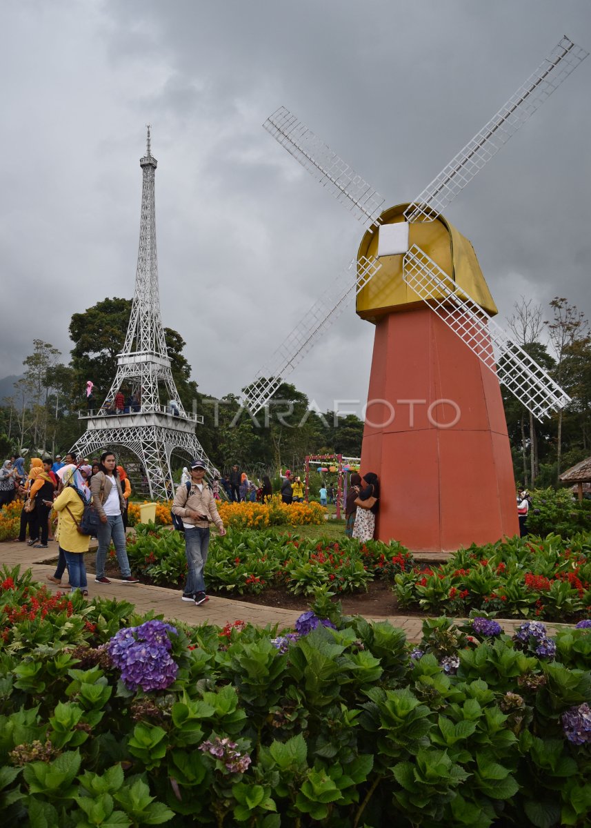 WISATA TAMAN BUNGA CELOSIA DI SEMARANG | ANTARA Foto