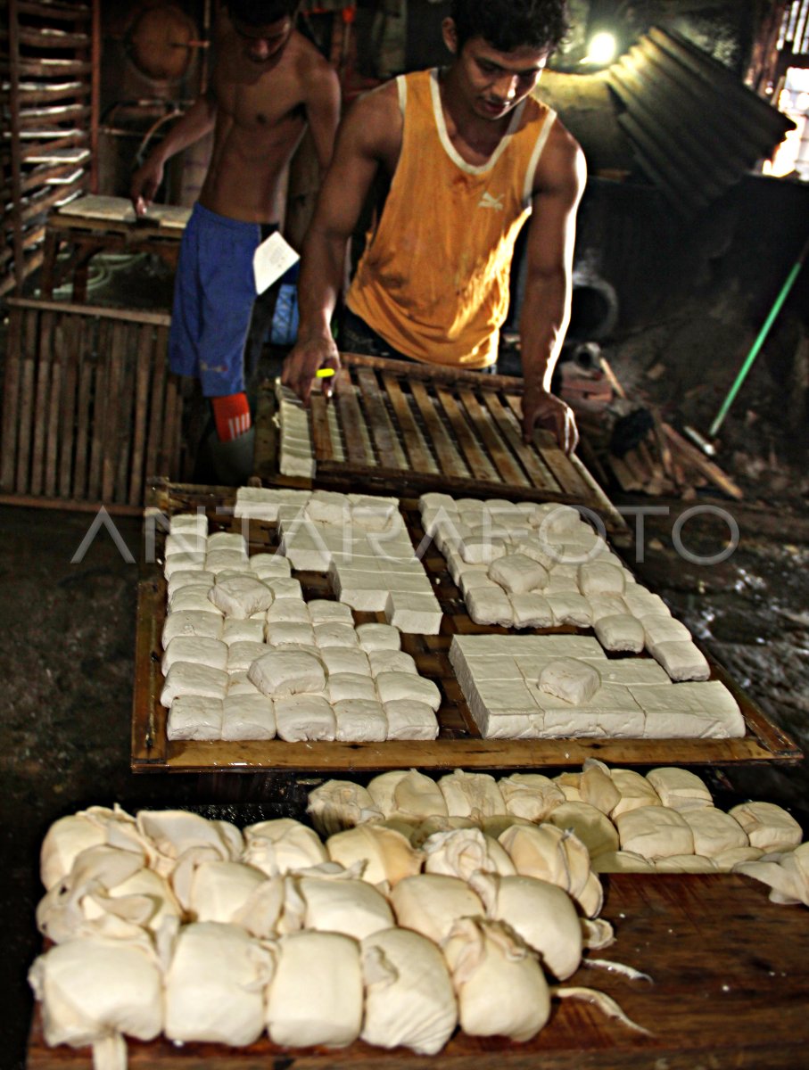 PERLINDUNGAN HARGA KEDELAI | ANTARA Foto