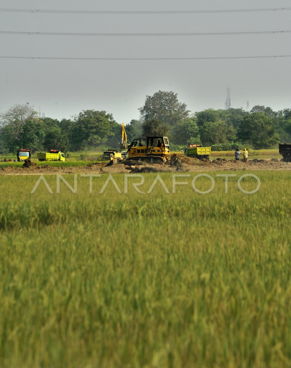 ALIH FUNGSI LAHAN PERTANIAN | ANTARA Foto